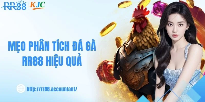 Cách quan sát và phân tích trận đấu tại RR88 