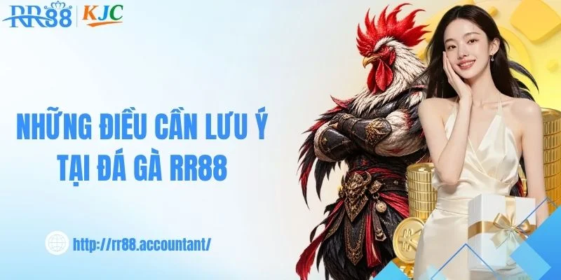 Điều cần lưu ý khi theo dõi đá gà RR88 