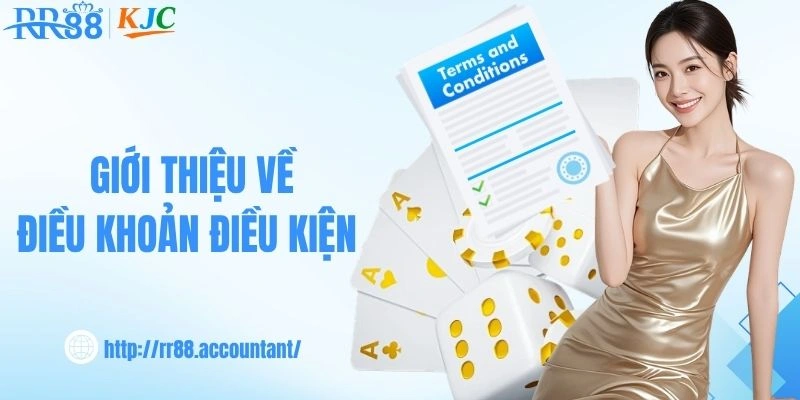Giới thiệu về điều khoản điều kiện 