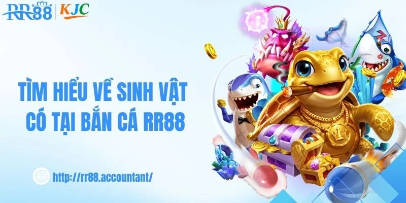 Khám phá thế giới sinh vật biển tại RR88 