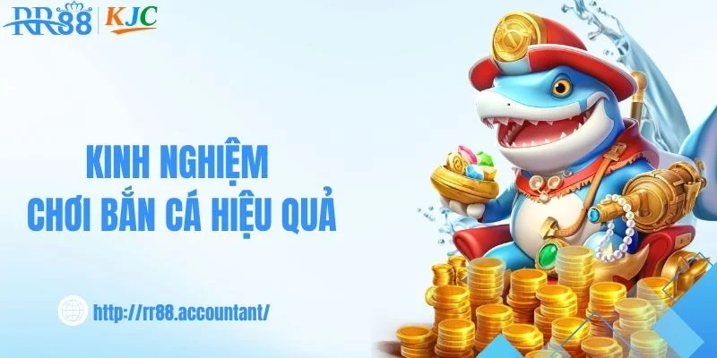 Mẹo trải nghiệm bắn cá RR88 dành cho người mới 