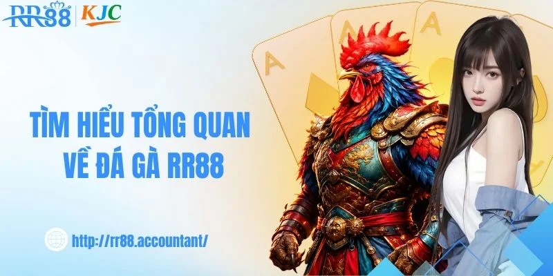 Tìm hiểu các yếu tố đáng chú ý trong trận đá gà 